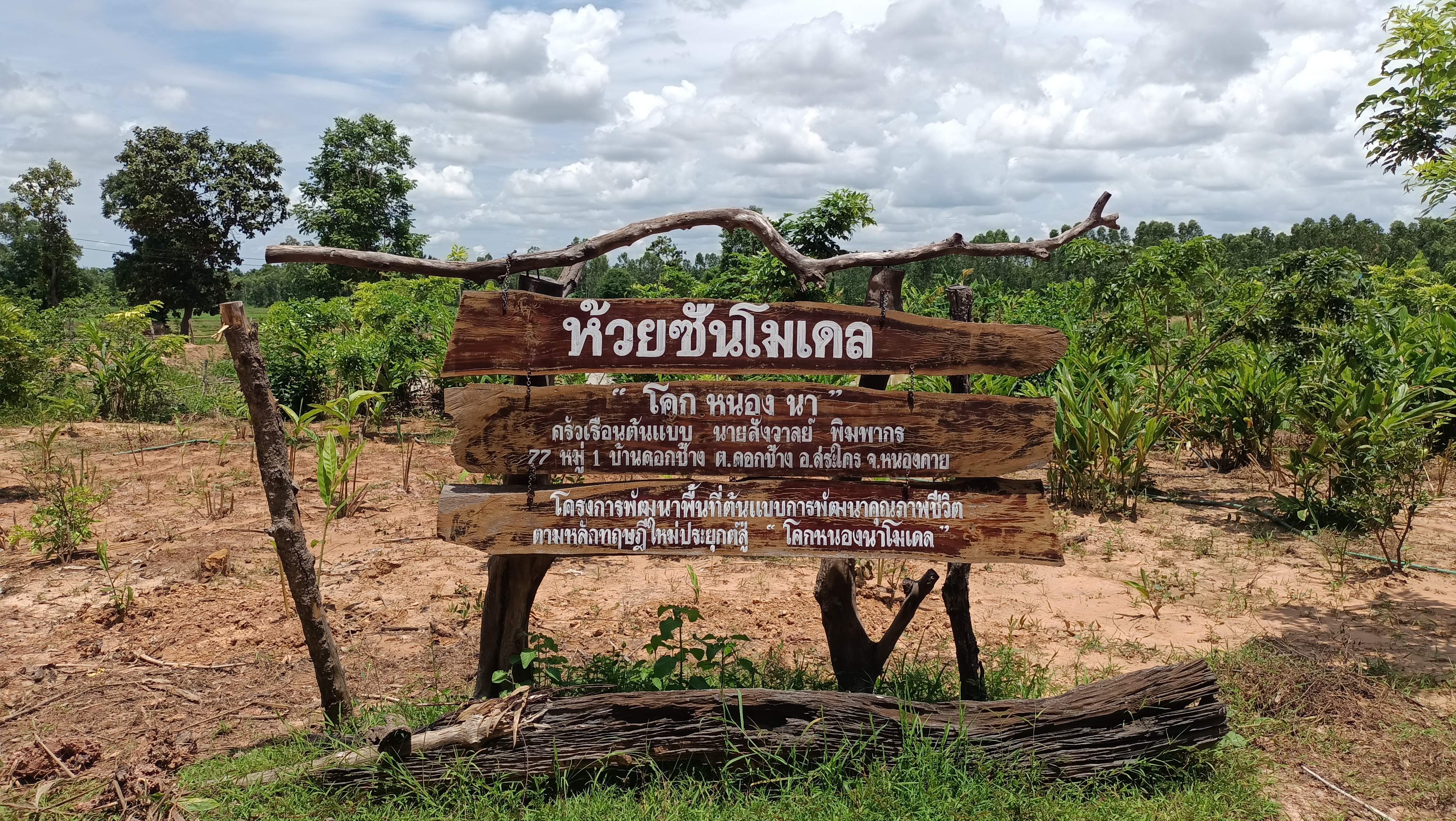 ศูนย์เรียนรู้การพัฒนาคุณภาพชีวิต ฯ ประยุกต์สู่ “โคก หนอง นา“ แปลงนายสังวาล  พิมพากร