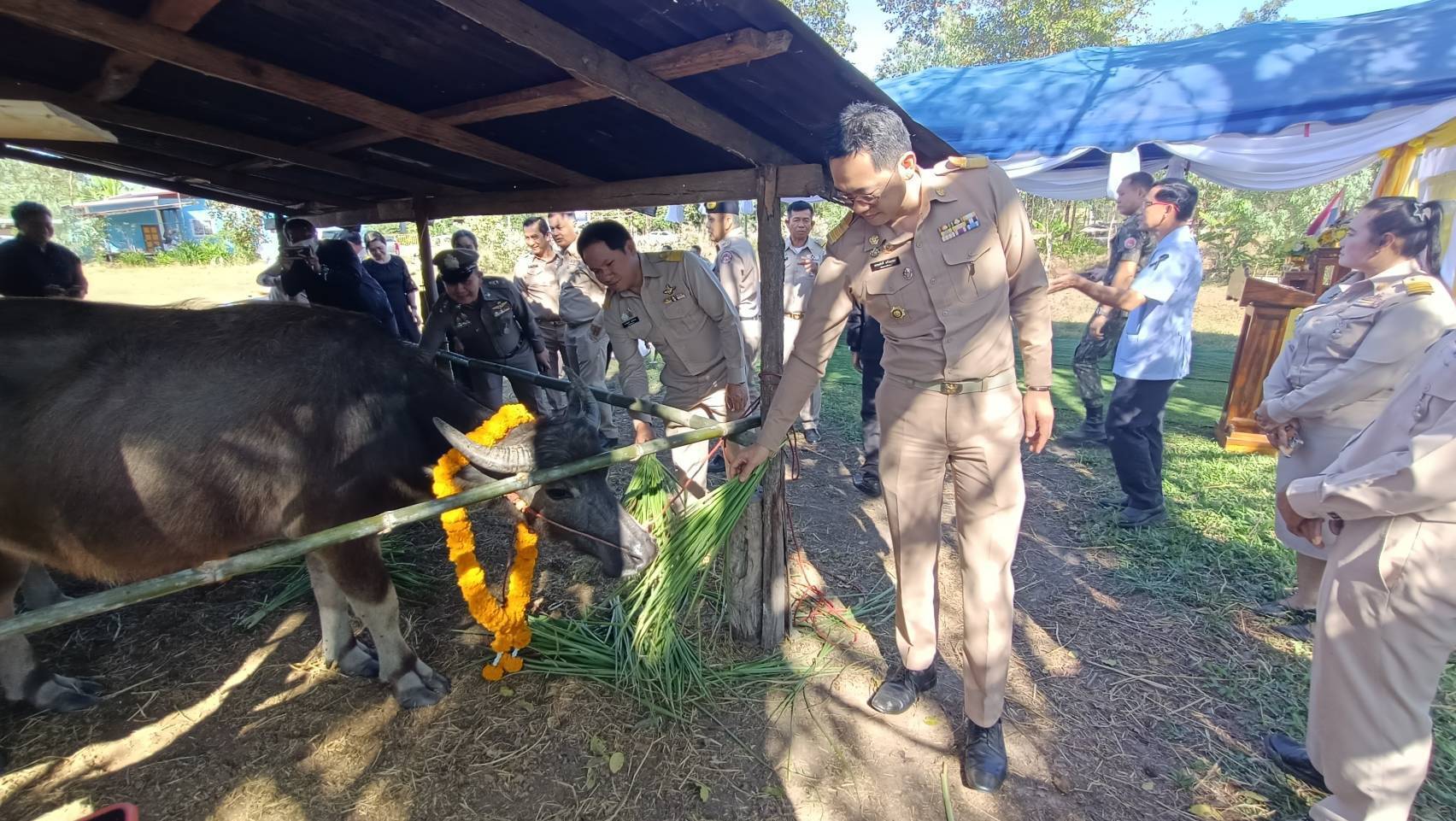 สพอ.สระใคร ร่วมพิธีมอบกระบือพระราชทาน ตามโครงการอนุรักษ์และพัฒนากระบือไทย